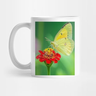 Yellow butterfly Mug